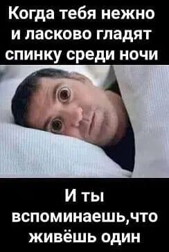 Прикрепленное изображение: 291137821_3173755049549799_1460326686805468386_n.jpg